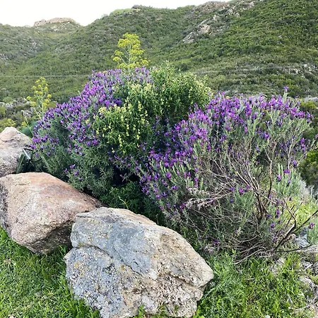 Maison Enchanteresse A Avec Jacuzzi Santo-Pietro-di-Tenda
